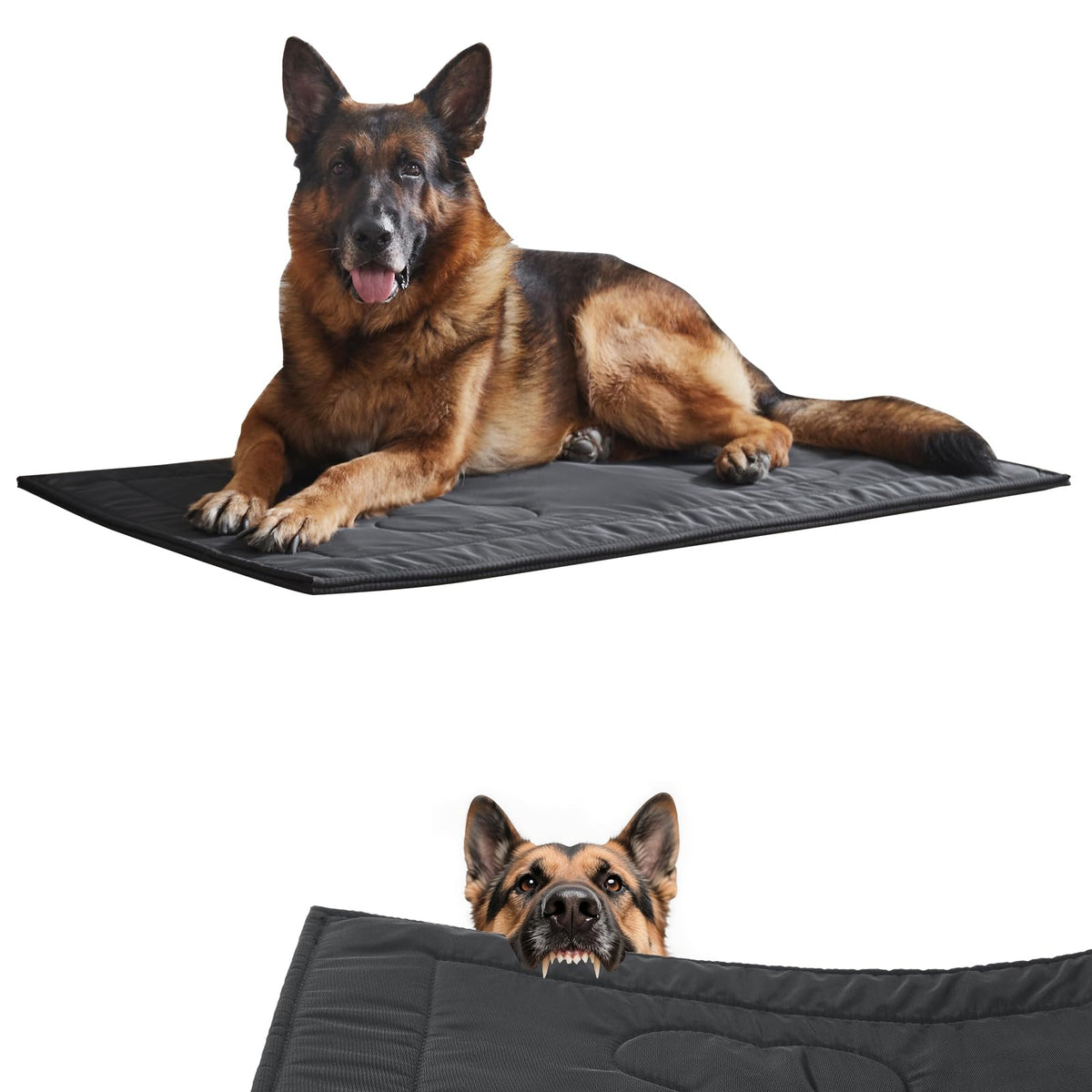 Chew Proof Dog Crate Pad Large 28"x41" P7010