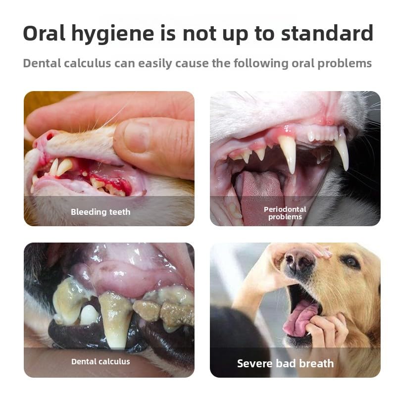 Pet Teeth Cleaning Pen 2-Pack with Soft Brush Head H3639