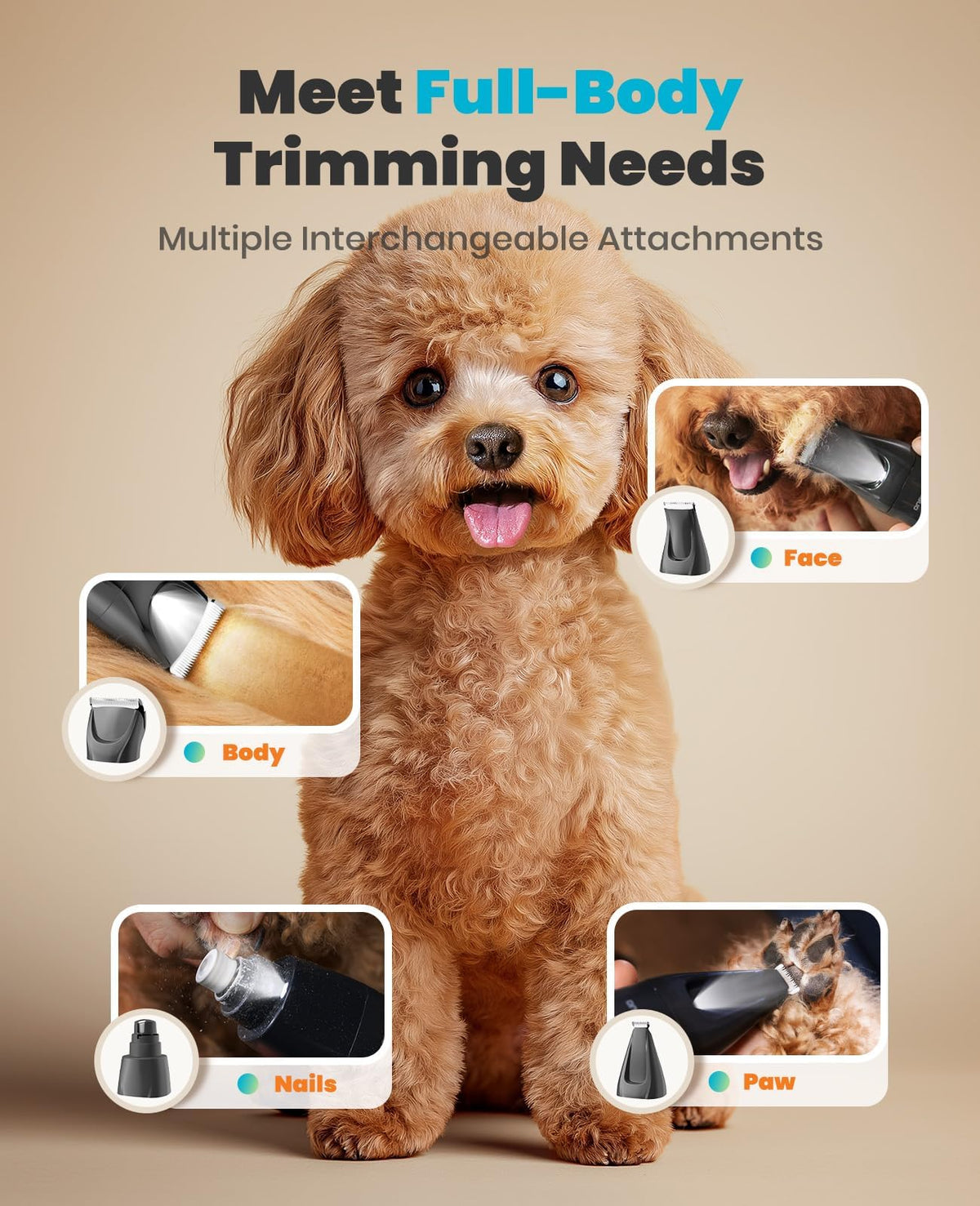 4-in-1 Dog Grooming Kit with LED Light R347105
