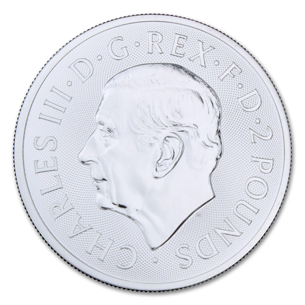 1 oz Silver Coin Z235