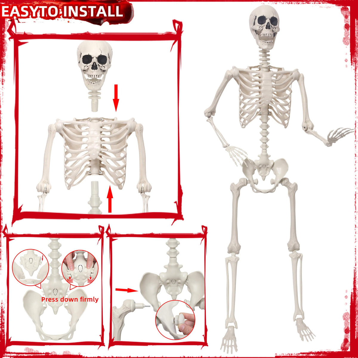 5.4Ft Poseable Skeleton Plastic Human Bones C320
