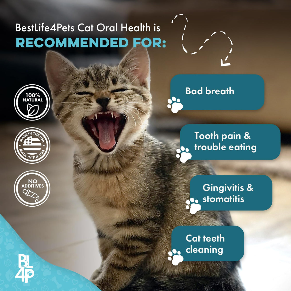 Cat Dental Care Supplement 400 Pills X807134