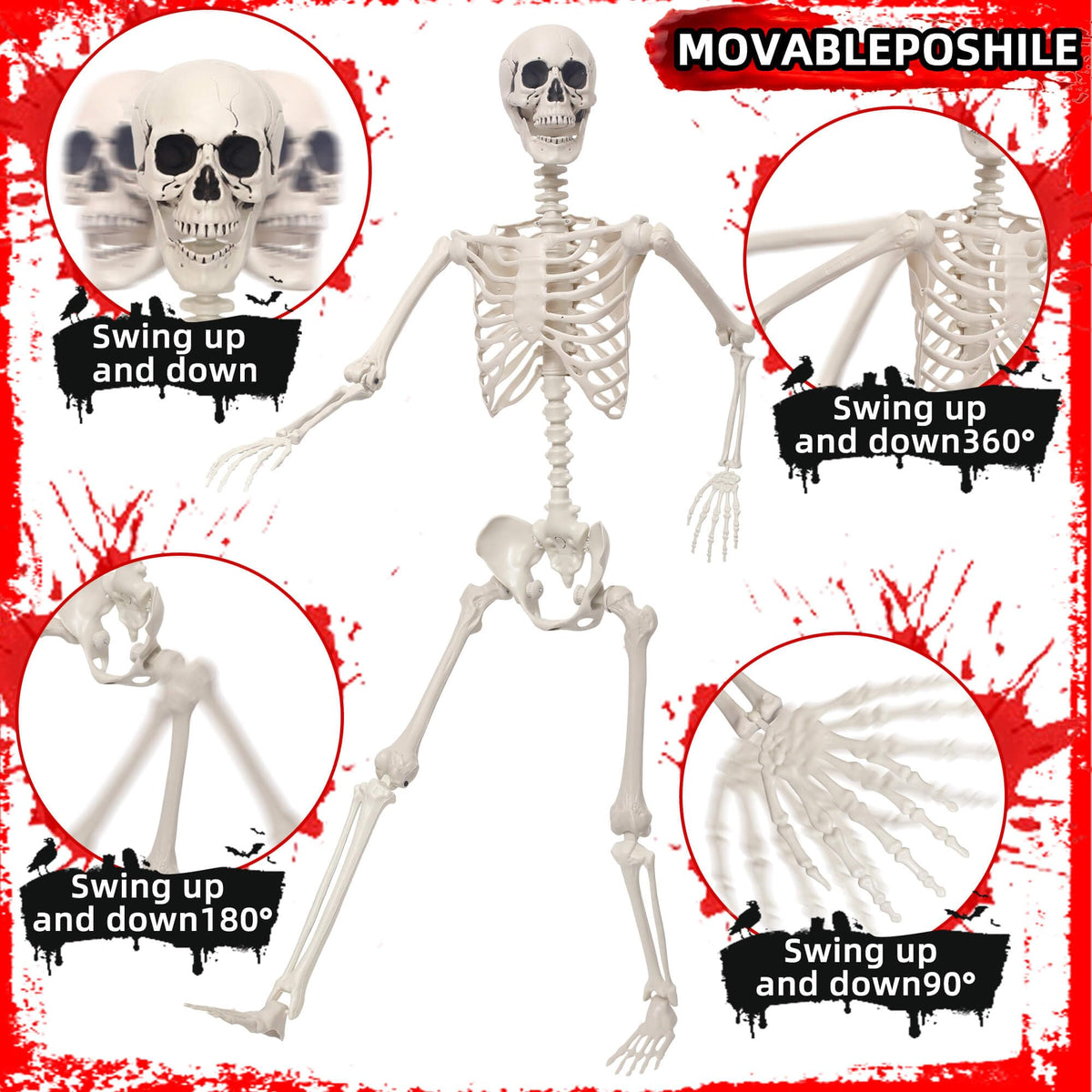5.4Ft Poseable Skeleton Plastic Human Bones C320