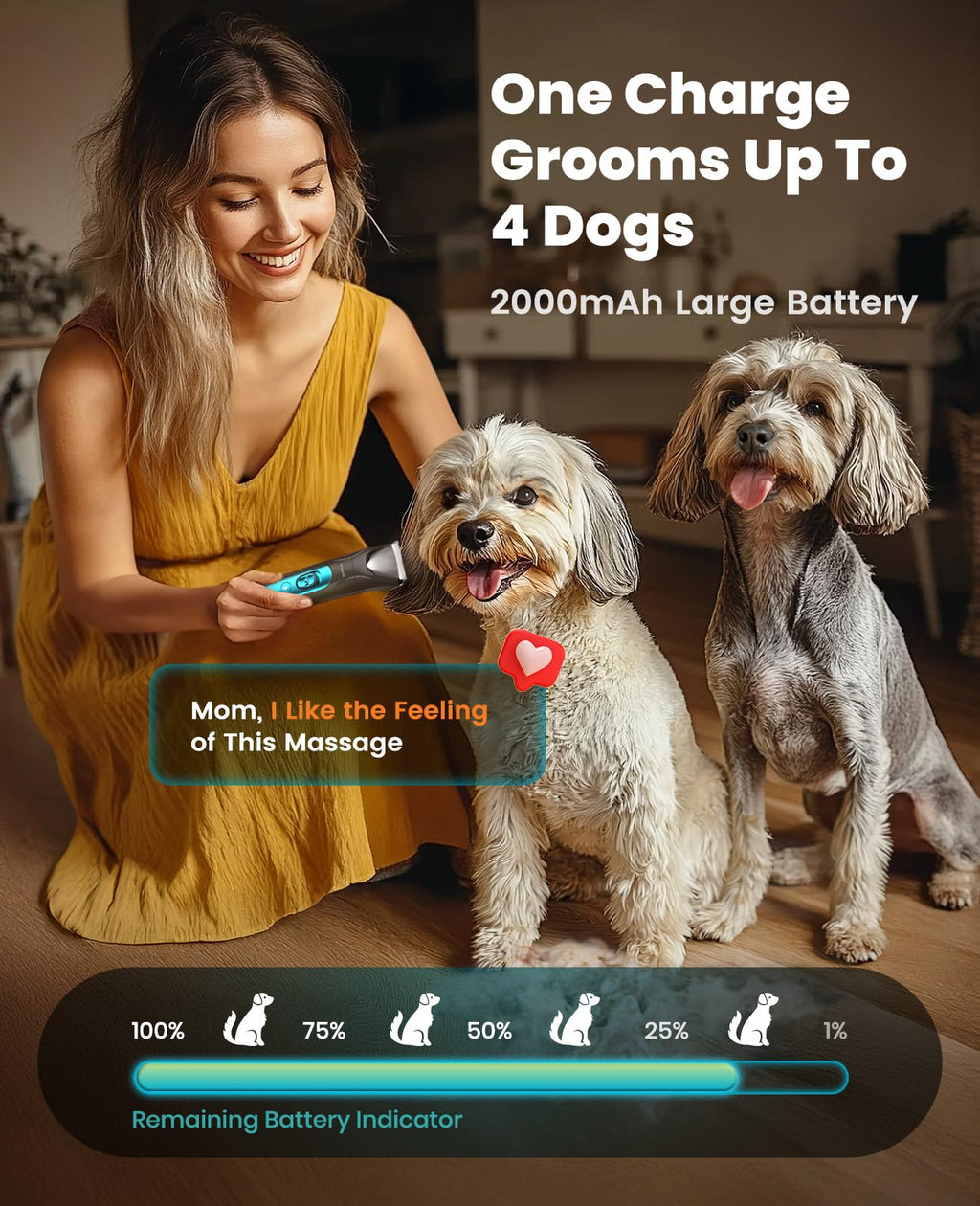 4-in-1 Dog Grooming Kit with LED Light R347105