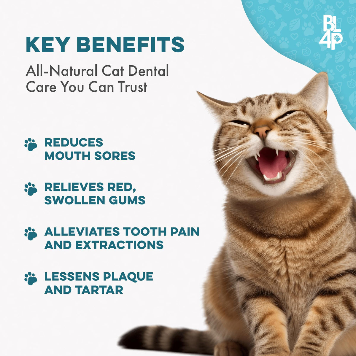 Cat Dental Care Supplement 400 Pills X807134