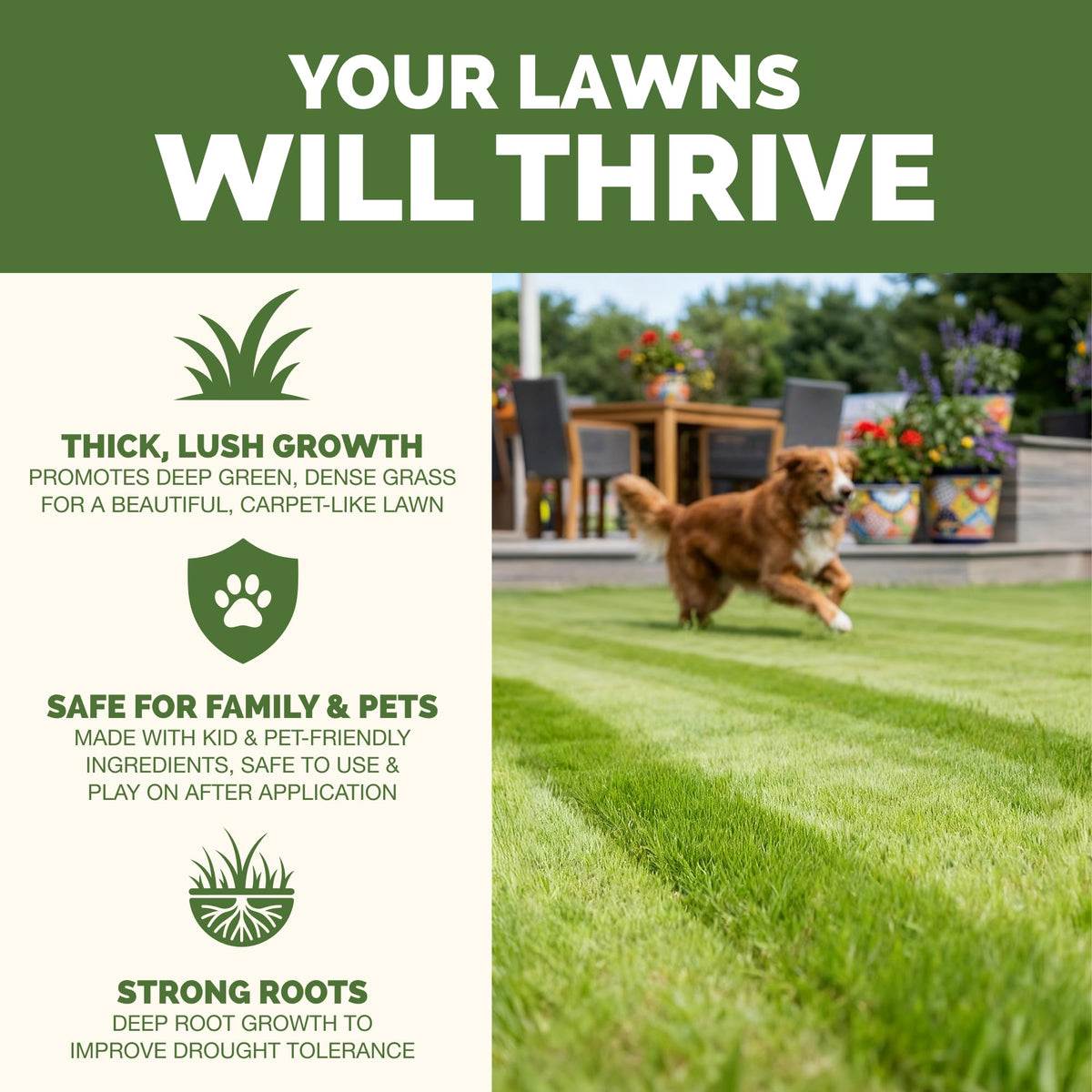 Liquid Lawn Fertilizer 1 Gallon G246