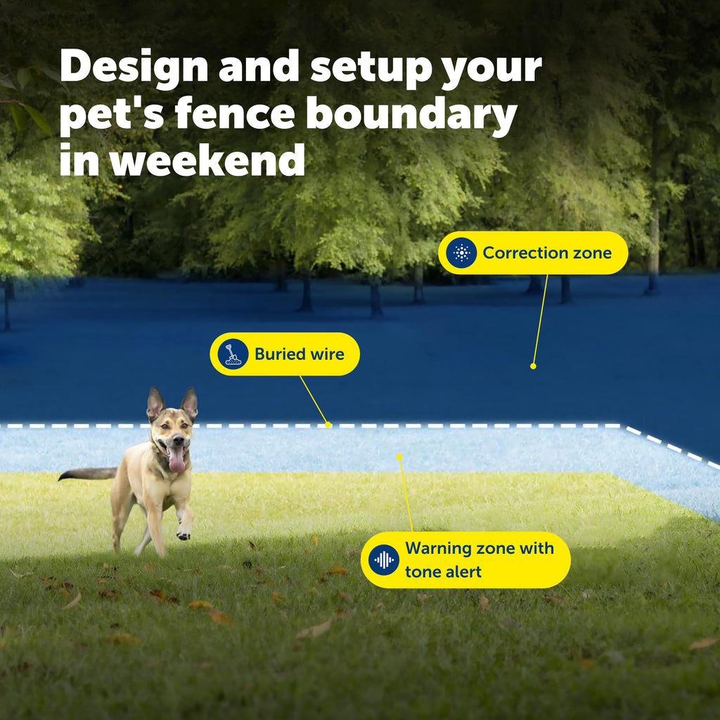 In-Ground Fence with 6V Batteries C273344