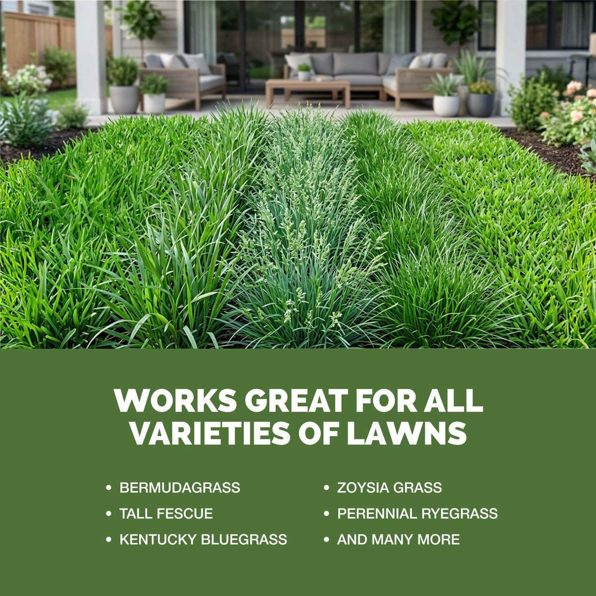 Liquid Lawn Fertilizer 1 Gallon G246