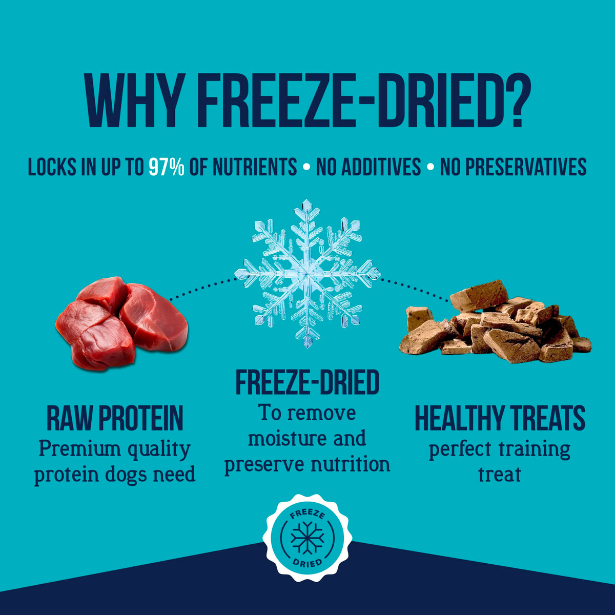 Freeze Dried Beef Liver Dog Treats 21 oz Tub Y502339