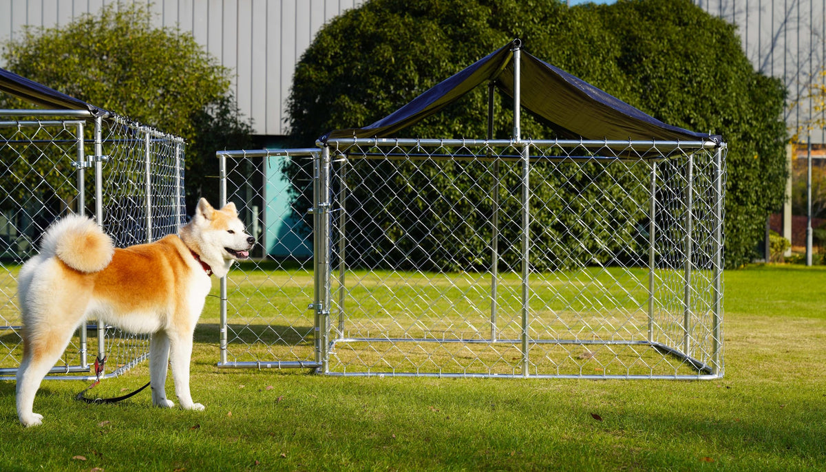 Outdoor Dog Kennel Steel Fence with Secure Lock 78”x 78” T870586